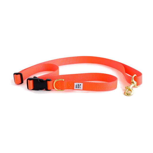 Dog+Bone Adjustable Leash 3-6ft, Hand Held/ Hands Free, Lava Orange