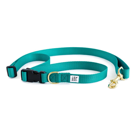 Dog+Bone Adjustable Leash 3-6ft, Hand Held/ Hands Free, Teal