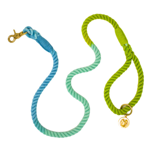 Pink Papyrus Cotton Rope Alexandria Blue Green Ombre Dog Leash