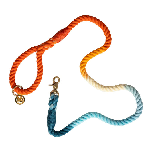 Pink Papyrus Cotton Rope Beau Orange Blue Ombre Dog Leash