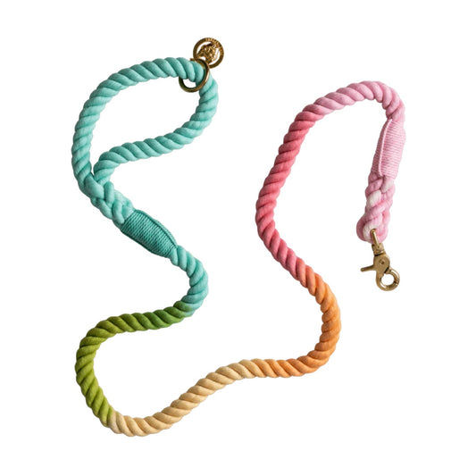Pink Papyrus Cotton Rope Halston Pastel Rainbow Ombre Dog Leash