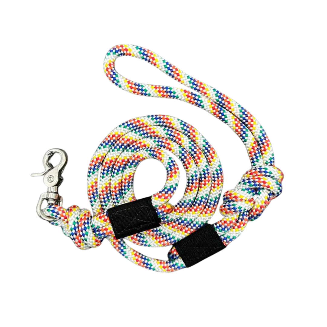 Wilderdog Quick Clip Leash Rainbow 5'