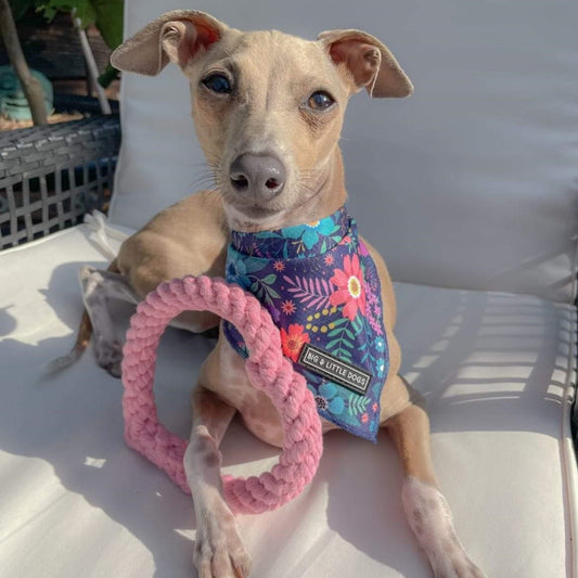 Love Heart Rope Dog Toy